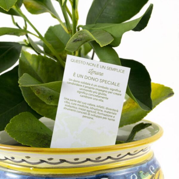 Bomboniera vaso caltagirone small - immagine 4