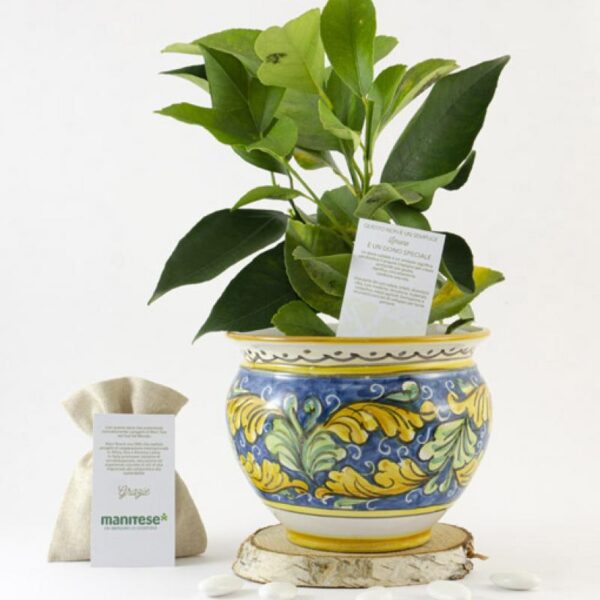 Bomboniera vaso caltagirone small - immagine 3