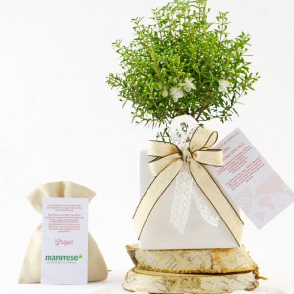 Bomboniera vaso ceramica bianca small - immagine 2