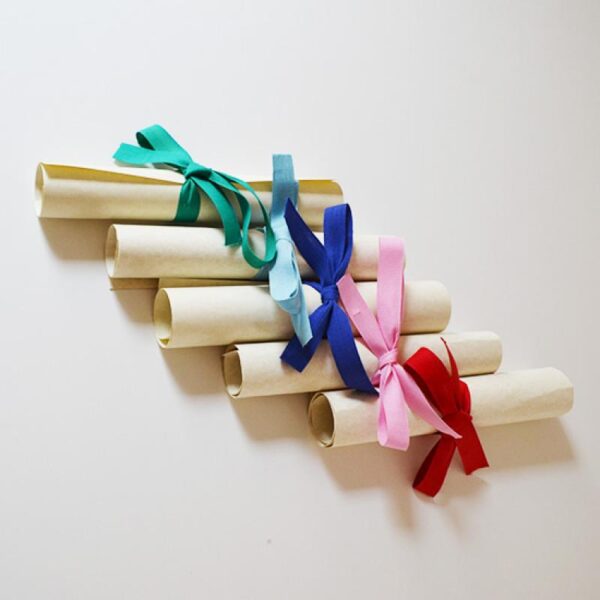 Pergamena Laurea - immagine 3