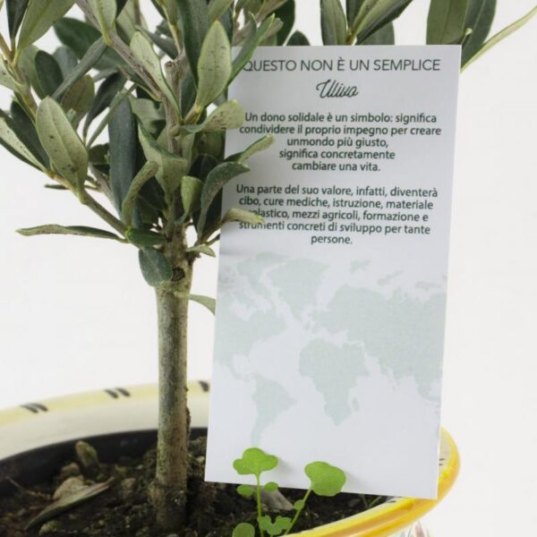 Bomboniera vaso caltagirone medium - immagine 3