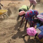 TORNARE A COLTIVARE UNA TERRA NON PIÙ FERTILE GRAZIE ALL’AGROECOLOGIA