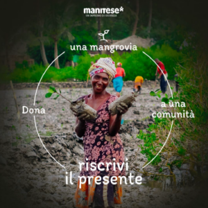 Regala una mangrovia di Natale