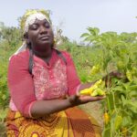 Nutrire la città: la storia di Wendlasida Paulin KABORE e la cooperativa Songtaaba