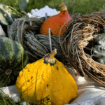 Nutrire il territorio: mercato e culture del cibo sostenibile