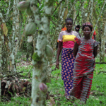 Le donne del cacao a Terra Madre