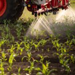 Omnibus X, la deregolamentazione arriva anche sulla sicurezza alimentare